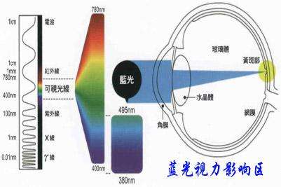 蓝光对眼睛视力影响示意图